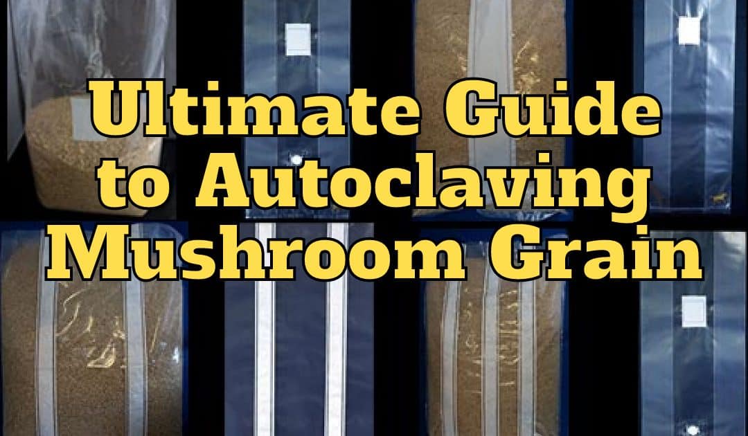 Ultimate Guide to Autoclaving Mushroom Grain