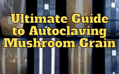 The Ultimate Guide to Autoclaving Mushroom Grain spawn