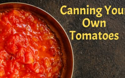 Canning Tomato Sauce